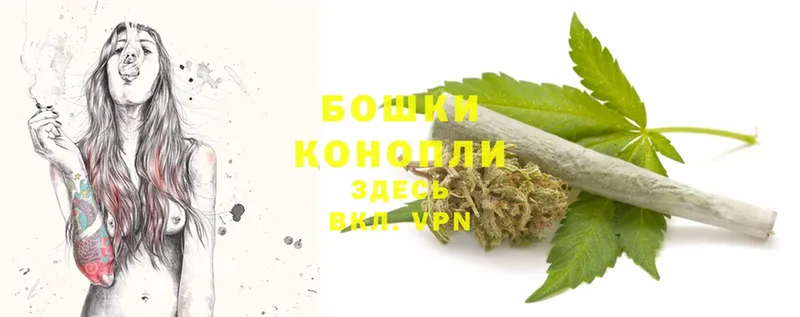 где купить   Беломорск  Конопля LSD WEED 